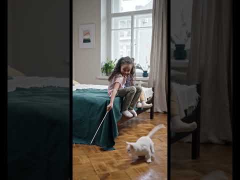 cute cats jumping #cats #cute #shorts #trending #trendingshorts