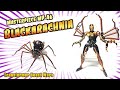 Transformer Beast War Masterpiece Blackarachnia MP 46 Review