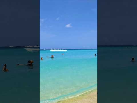 🏖 Start the Day at Dominicus Beach, with some Soothing Beach Vibes 🌊 #travel #beach #sea