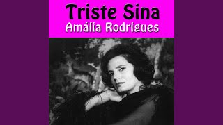 As Rosas Do Meu Caminho