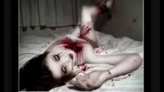 FATAL ERROR apocalyptica