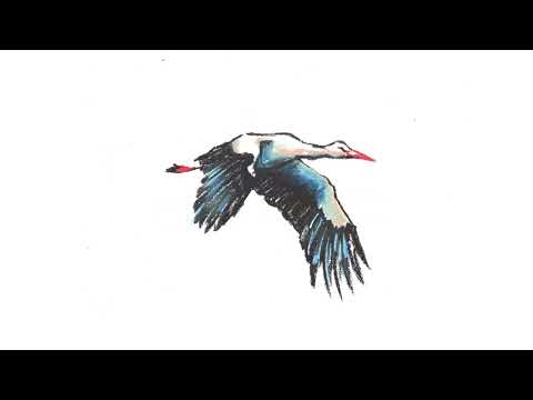 Oksana Maslo, Stradivalli - Leleko