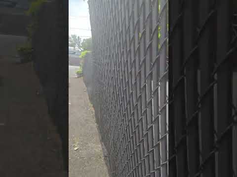 Audi RS4 B7 Abandoned for Years what a Waste!