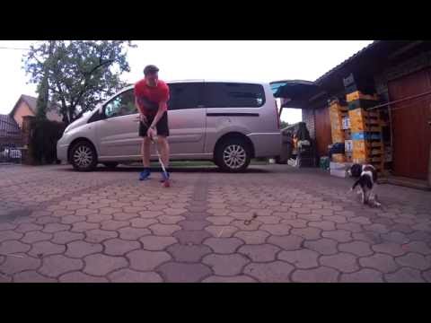 Trolling the dog ?!?