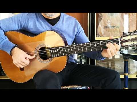 Juan Montes Rodriguez 1ª class Flamenco Negra guitar 2023 exclusive +Case image 18