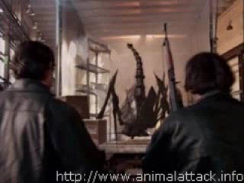 Movie Stills From Scorpius Gigantus (2005)