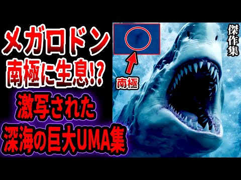 研究者が海で貴重な物体を発見 - しかし、それを引き揚げるのは危険です