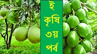 ই কৃষি তথ্য ভান্ডার