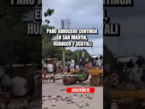 Paro arrocero continúa en San Martín, Huánuco y Ucayali — actualización 29 de mayo #peru