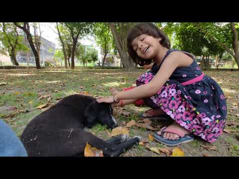 Ashvik Ipshita enjoying with lovely doggy