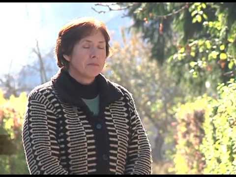 Moldova Eco Energetică - BIOMASĂ - ANTONEŞTI