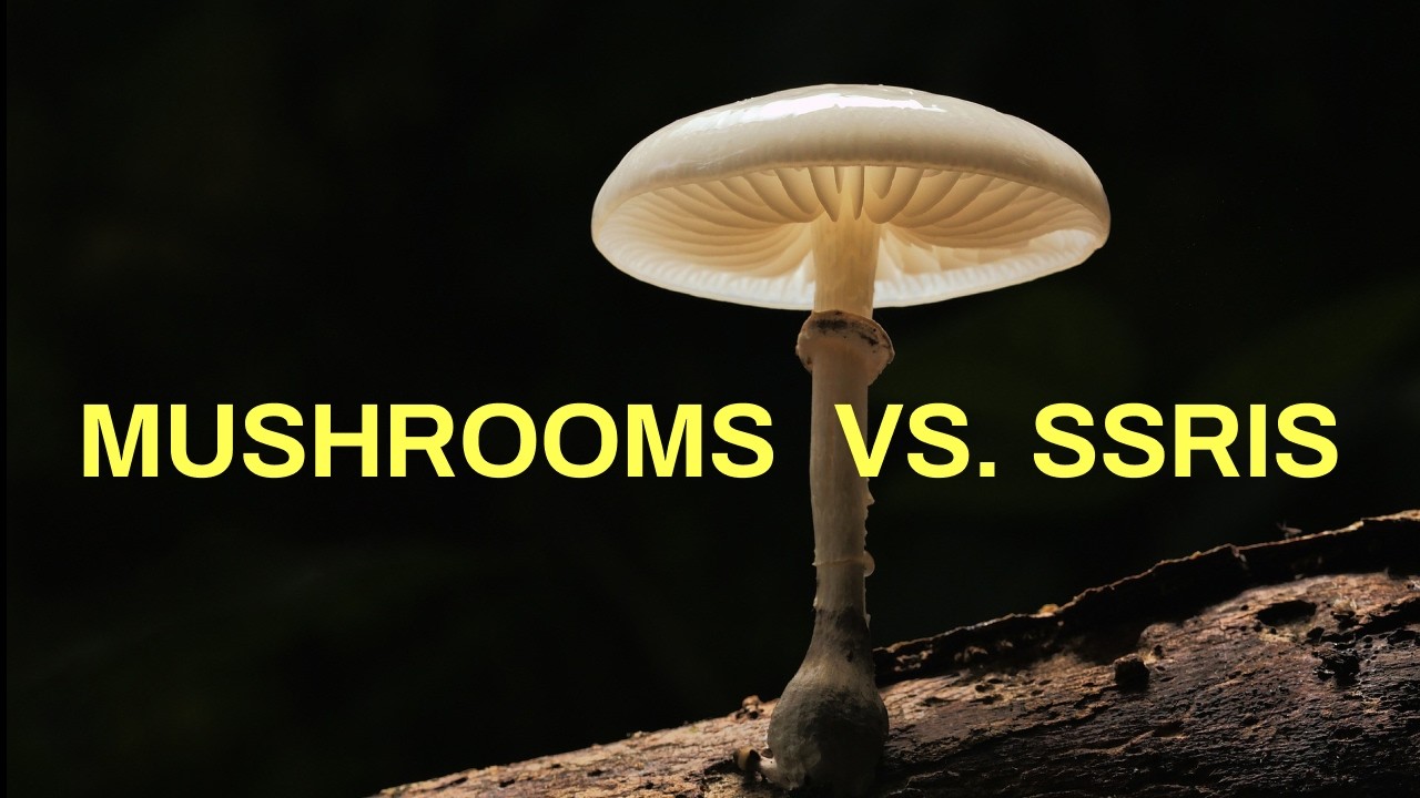 Are psychedelics as effective as SSRIs in treating depression?