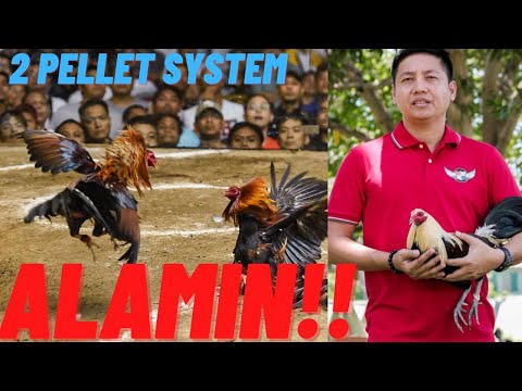 Maintenance and Conditioning Tips - 2 Pellet System