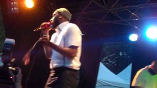 Mos Def &quot;Priority&quot; Live at The Afro-Punk Festival 2010