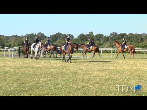 Behind the Scenes at the British Racing School, Episode 4