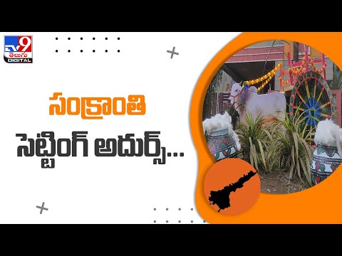 సంక్రాంతి సెట్టింగ్‌ అదుర్స్.. : Sankranthi Special - TV9