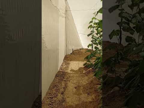 Plastic White Net House Structure, For Agriculture