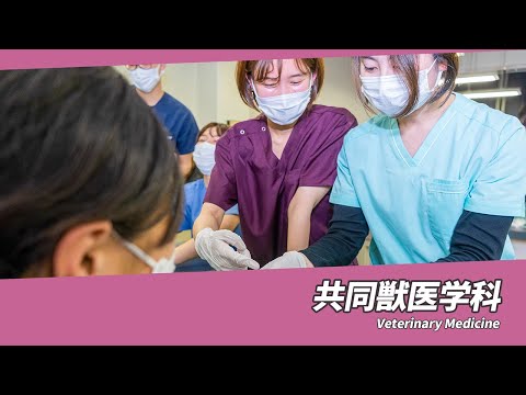 岐阜大学　応用生物科学部　共同獣医学科