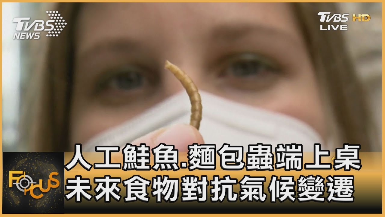 人工鮭魚、麵包蟲端上桌 未來食物對抗氣候變遷