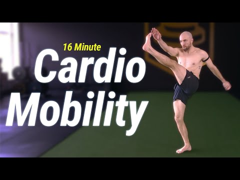 16 Minute No Jumping Cardio and Mobility Workout (Follow Along)