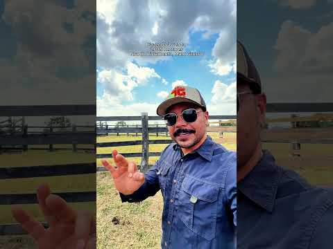 Fazenda de 2.085 ha à venda - Nsa. do Livramento - MT🇧🇷. Chama 🔥 #agro #pecuaria #fyp