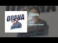 Flowking Stone Ft Shatta Wale - OPANA - Official Audio