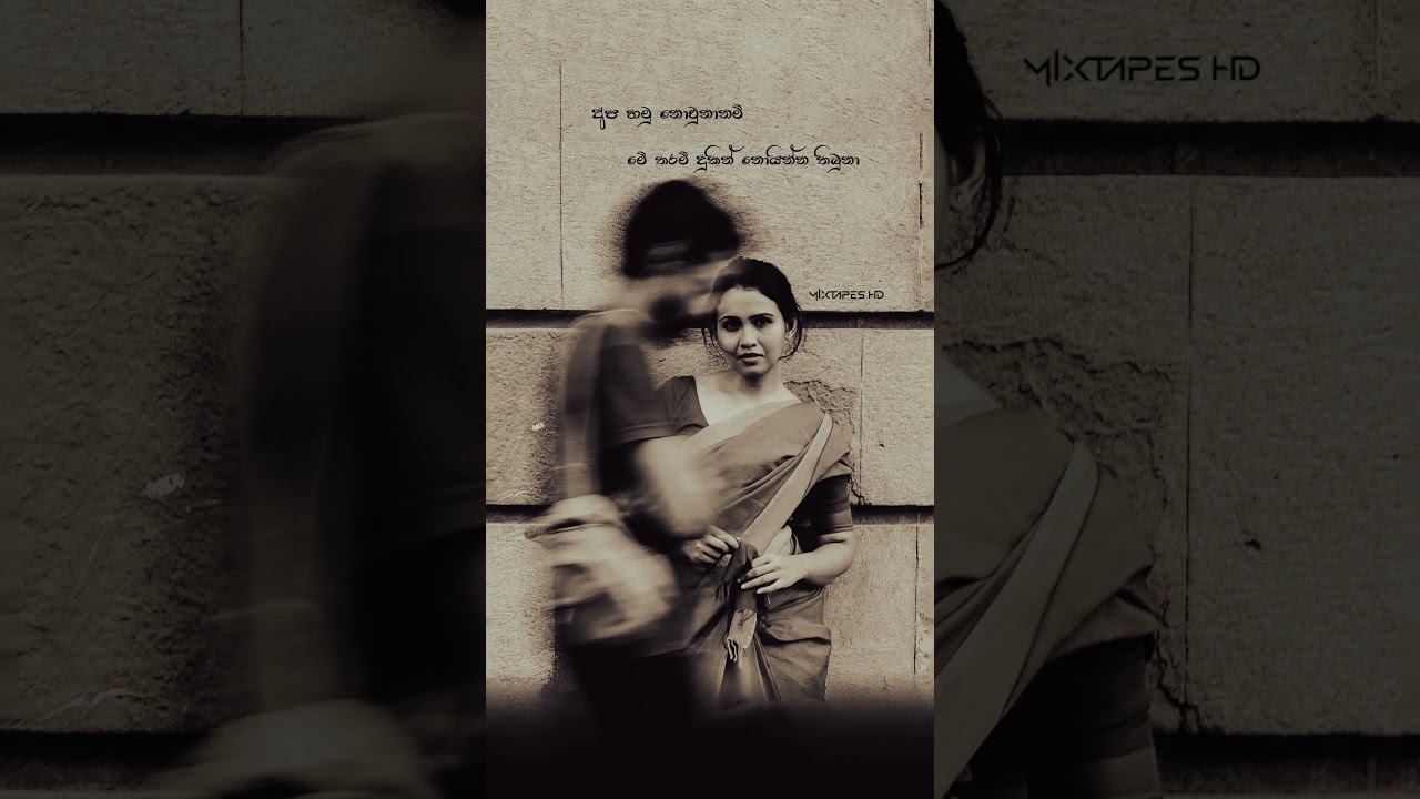 Aap Hamu Nowuna Nam අප හමුනොවුණා නම්#apahamunowunanam #abhishekawimalaweera #abhi #foryou #frpシ