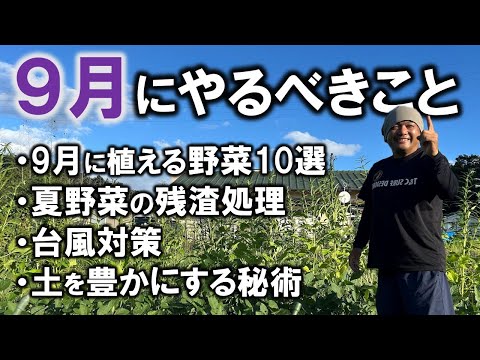  9月に菜園やバルコニーに何を植えますか？今の季節に欠かせない野菜や花々！  庭園