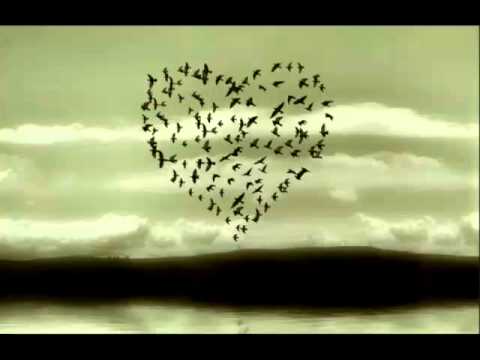 Seni Çok Seviyorum Semihim