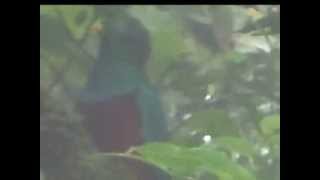 Video 2