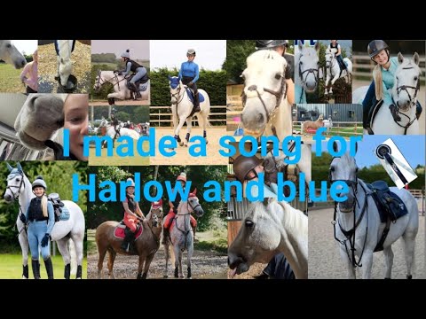 I made blue and Harlow a song @HarlowLunaWhite #caseyshorseedits #viral #likeandsubscribe #views