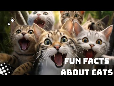 What you should know about your cat