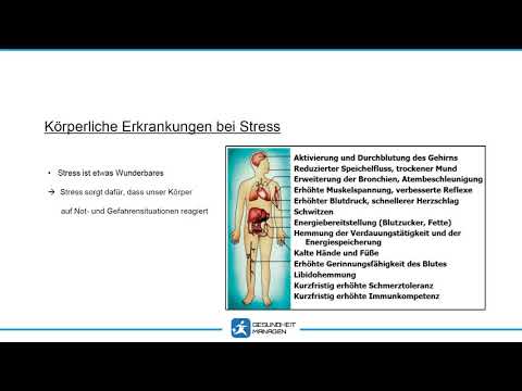 Stressreaktion - Was passiert in Körper und Geist und warum