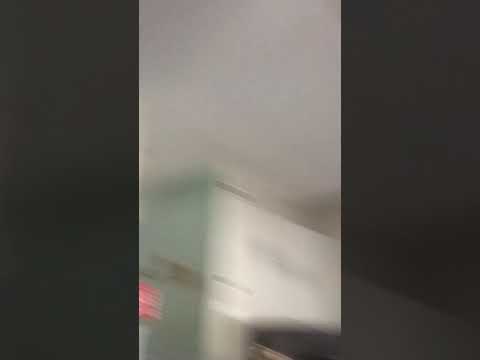 Xalo squad Is back!!!