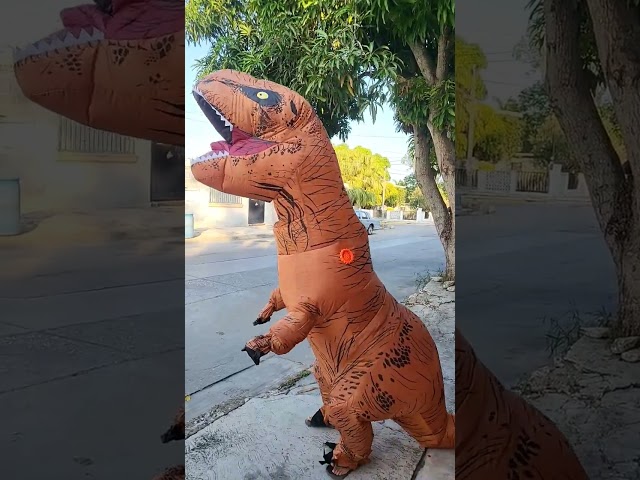 Vídeo relacionado con Genérico Disfraz de Dinosaurio Esqueleto | Juguete de Peluche,Ropa para Fiestas y Disfraces | para Adultos Convenciones de Cómic Carnaval Actores de Teatro Eventos Temáticos