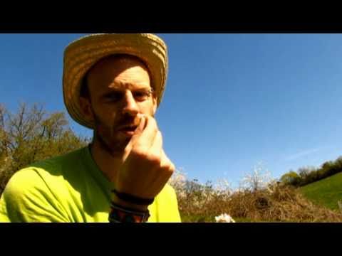 plante comestible La cardamine L1-n°2