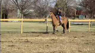 Guardian Angel &amp; Girls and Horses (Templeton Thompson)