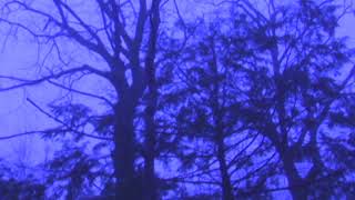 dragon eyes Music Video