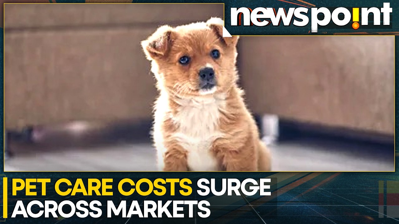 Cost Of Pet Ownership Climbs Globally: Pet ICU Care Can Cost Up To $1000 Per Night | WION Newspoint