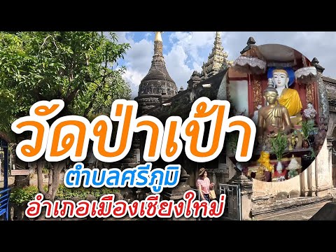 วัดป่าเป้า