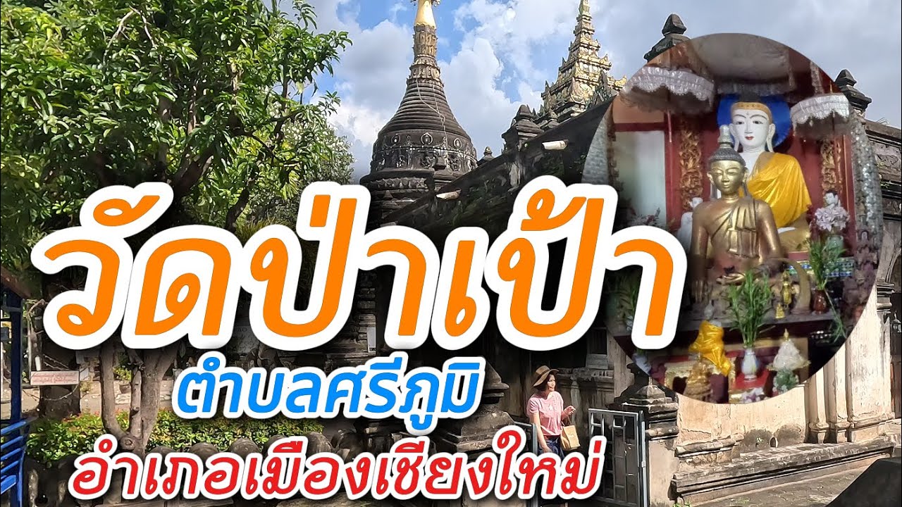 วัดป่าเป้า