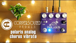 Video thumbnail for CopperSound Pedals Polaris Analog Chorus Vibrato by Pedal of the Day