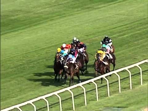 Premio Eupili 2012 (LISTED RACE)