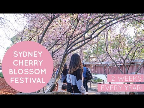 Sydney Cherry Blossom Festival 2017 @ Auburn Botanic Gardens