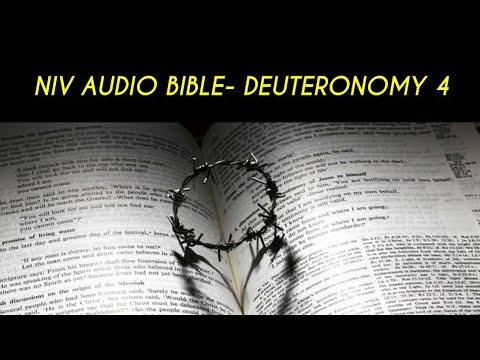 DEUTERONOMY 4 NIV AUDIO BIBLE (with text)