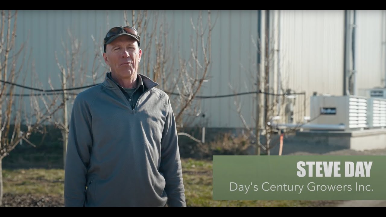 MSC Pre-Engineered Steel Buildings