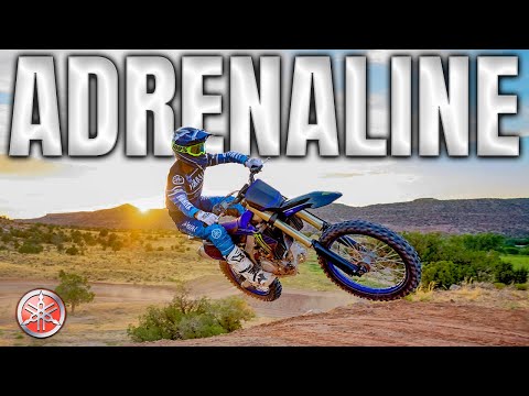 THE BEST OF BEAST MOTORBIKE: Yamaha YZ450F Monster Energy Review