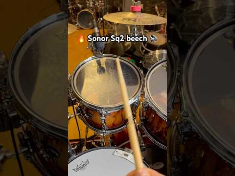 🔥 Sonor Sq2 Beech🥁 #sonordrums #sonorsq2 #soundcheck #drumtone #drumtuning #drums #drumlife