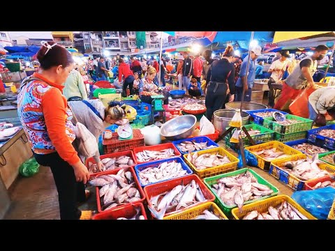 The Most Popular Distribution Fish Market in Cambodia - Lively Fish, Fresh Fish & Dried Fish | Malen