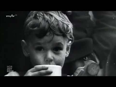 Der Untergang der Wilhelm Gustloff